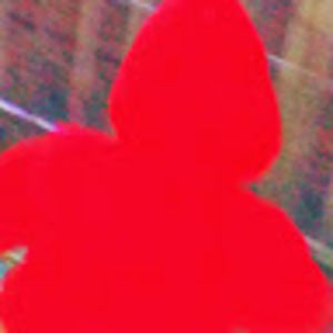 Meet your Posher, Champer